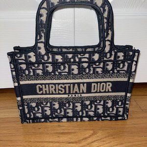 Authentic Mini Dior Book Tote